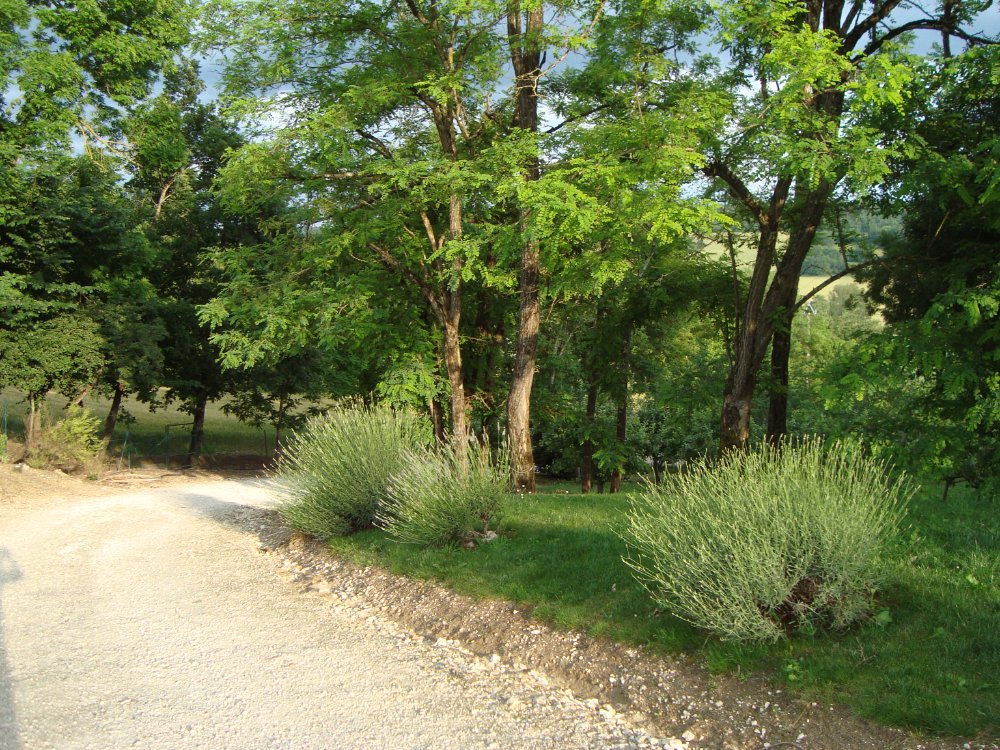 Aire camping-car  Lauzerte (82110) - Photo 3